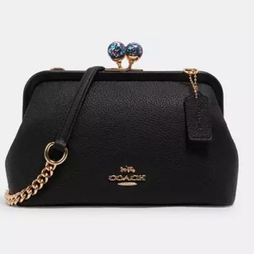 ISO OF THIS COACH BAG!!!!✨